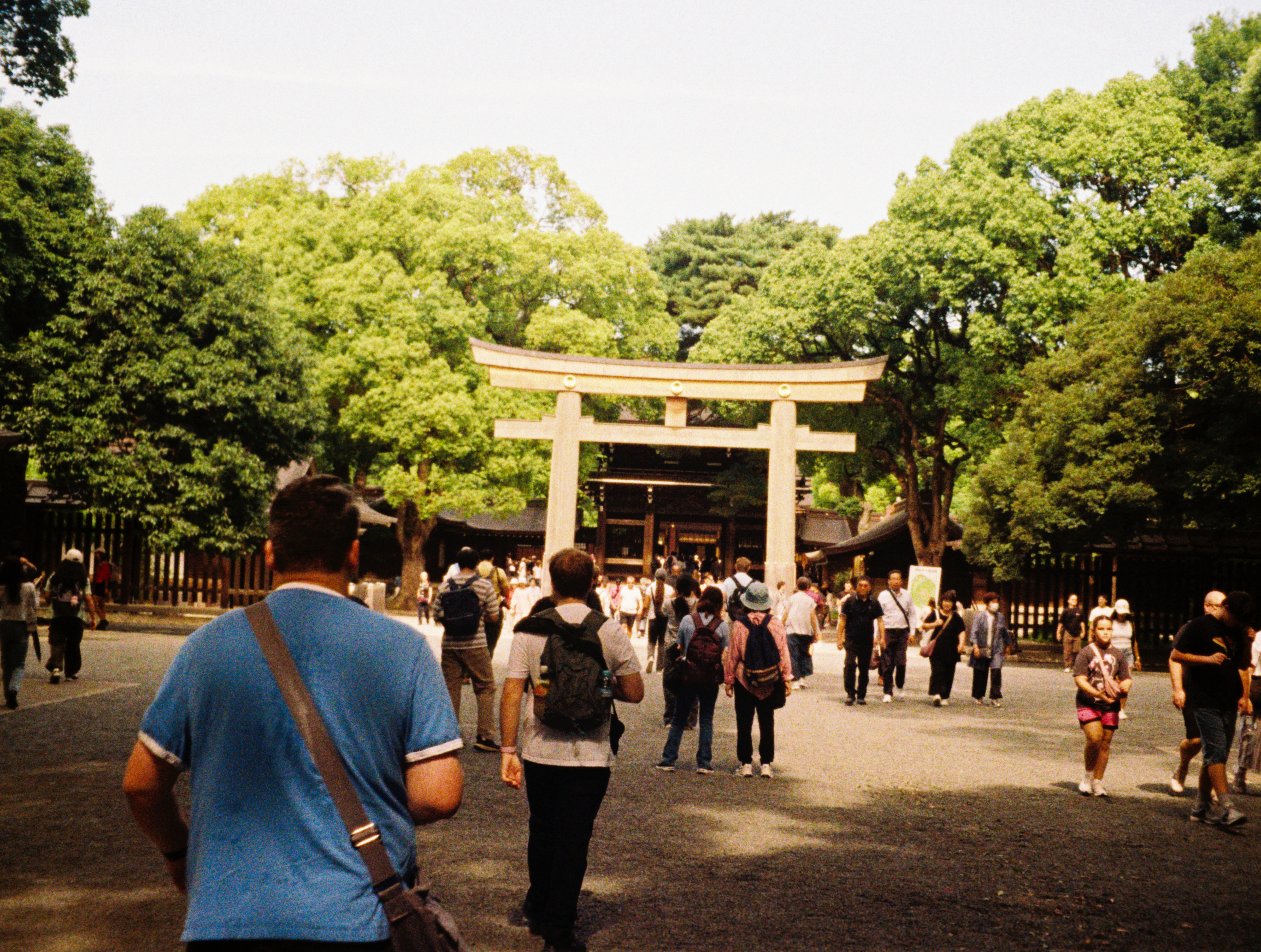 Meiji Jingu, Tokyo, Japan.