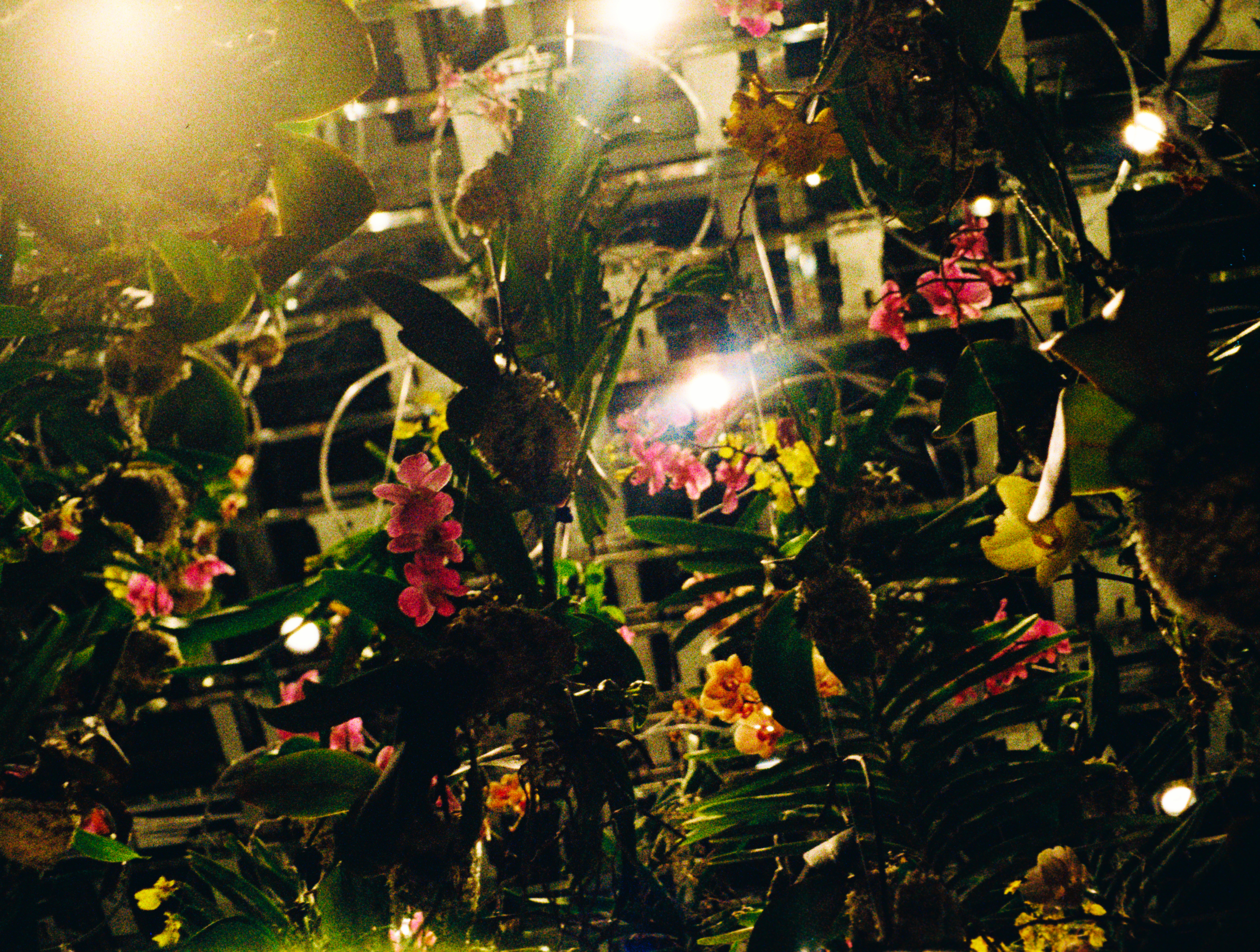 Suspended Flowerbed.